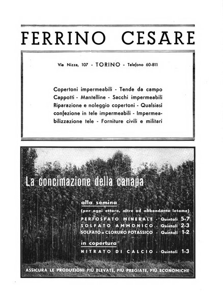 La canapa bollettino del consorzio industriali canapieri dei consorzi per la canapa