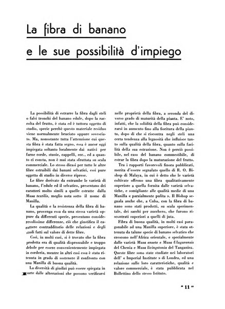 La canapa bollettino del consorzio industriali canapieri dei consorzi per la canapa