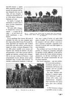 giornale/CFI0410727/1939/unico/00000065