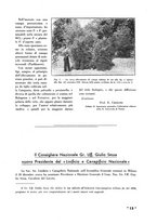giornale/CFI0410727/1940/unico/00000021