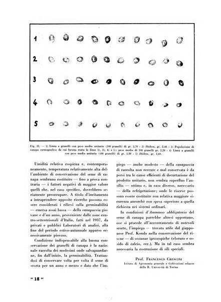 La canapa bollettino del consorzio industriali canapieri dei consorzi per la canapa