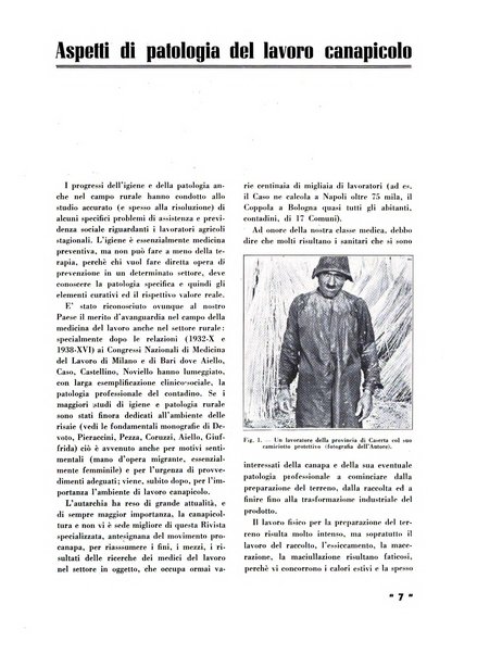 La canapa bollettino del consorzio industriali canapieri dei consorzi per la canapa