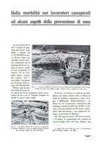 giornale/CFI0410727/1941/unico/00000019