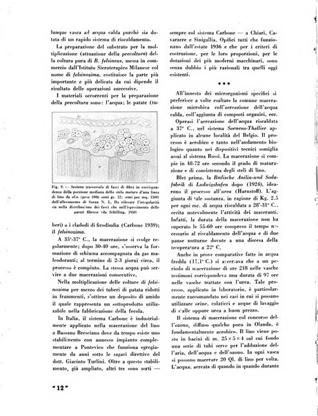 La canapa bollettino del consorzio industriali canapieri dei consorzi per la canapa