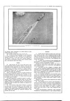 giornale/CFI0410735/1918-1919/unico/00000063