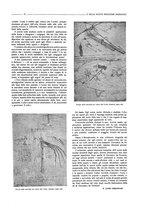 giornale/CFI0410735/1918-1919/unico/00000199