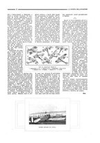 giornale/CFI0410735/1918/unico/00000029
