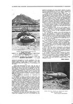 giornale/CFI0410735/1918/unico/00000092