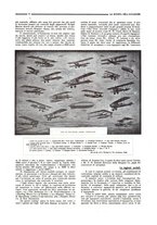 giornale/CFI0410735/1918/unico/00000127