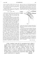 giornale/CFI0413229/1928/unico/00000495