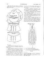 giornale/CFI0413229/1929/unico/00000310