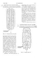 giornale/CFI0413229/1929/unico/00000311