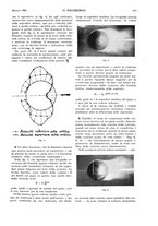 giornale/CFI0413229/1932/unico/00000315