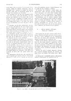 giornale/CFI0413229/1933/unico/00000465
