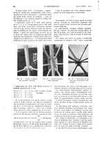 giornale/CFI0413229/1933/unico/00000514