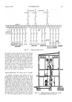 giornale/CFI0413229/1935/unico/00000027