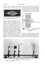 giornale/CFI0413229/1935/unico/00000183
