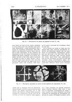 giornale/CFI0413229/1935/unico/00000186
