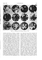 giornale/CFI0413229/1935/unico/00000187