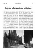 giornale/CFI0413229/1935/unico/00000189