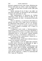 giornale/CFI0414612/1895-1896/unico/00000132