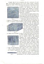 giornale/CFI0421105/1889/unico/00000088