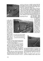 giornale/CFI0421883/1938/unico/00000220