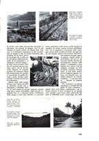 giornale/CFI0421883/1938/unico/00000221