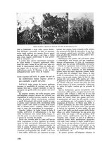 giornale/CFI0421883/1938/unico/00000222