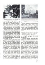 giornale/CFI0421883/1938/unico/00000225