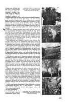 giornale/CFI0421883/1938/unico/00000229