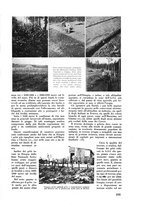 giornale/CFI0421883/1938/unico/00000231