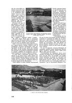 giornale/CFI0421883/1938/unico/00000234