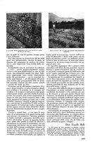 giornale/CFI0421883/1938/unico/00000235