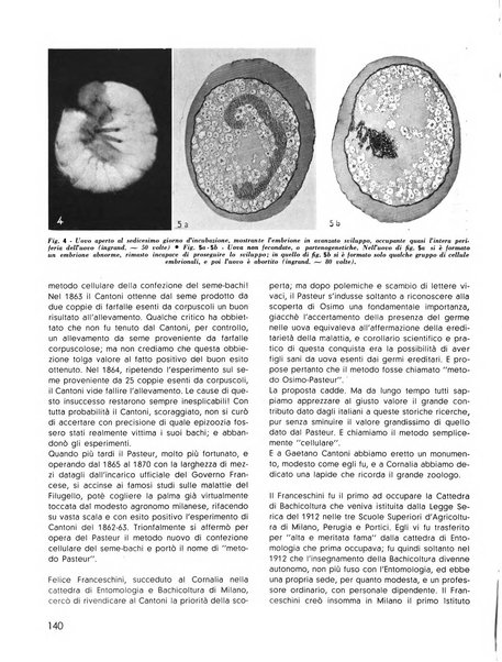 La seta bollettino di sericoltura