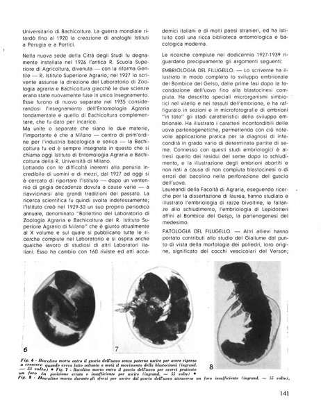 La seta bollettino di sericoltura