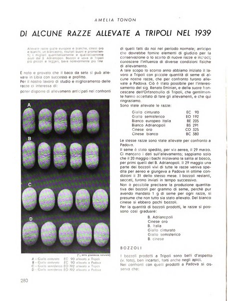 La seta bollettino di sericoltura