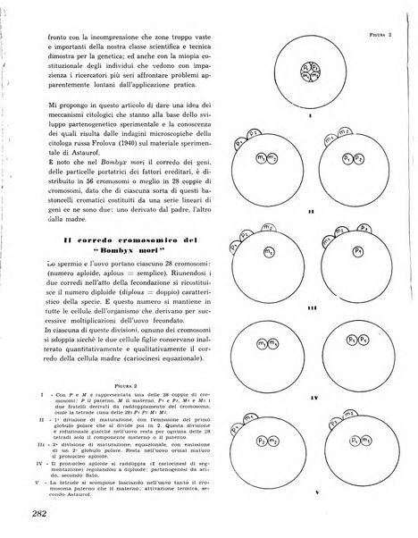 La seta bollettino di sericoltura