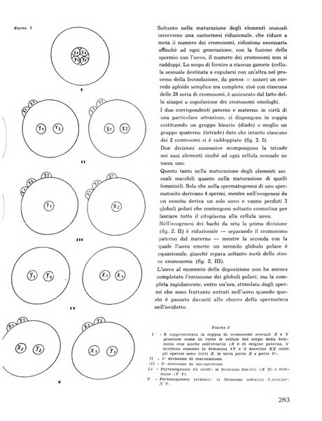 La seta bollettino di sericoltura