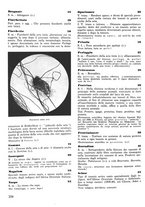 giornale/CFI0421883/1941/unico/00000302
