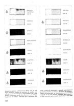 giornale/CFI0421883/1941/unico/00000304