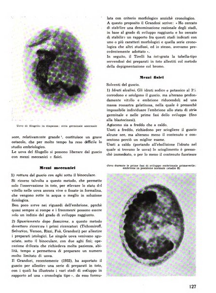 La seta bollettino di sericoltura