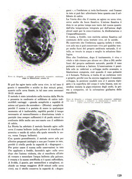 La seta bollettino di sericoltura