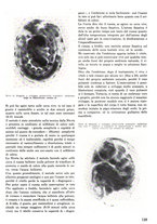 giornale/CFI0421883/1942/unico/00000085