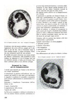 giornale/CFI0421883/1942/unico/00000086