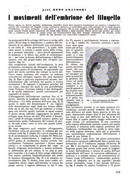 La seta bollettino di sericoltura