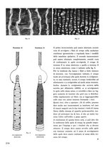 giornale/CFI0421883/1942/unico/00000194