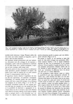 giornale/CFI0421883/1943/unico/00000080