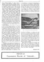 giornale/CFI0424643/1928/unico/00000525