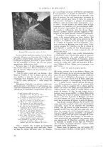 giornale/CFI0424643/1933/unico/00000040